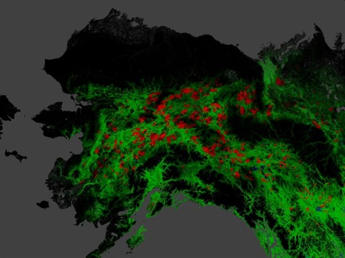 alaska kortlægning af verdens skove.jpg